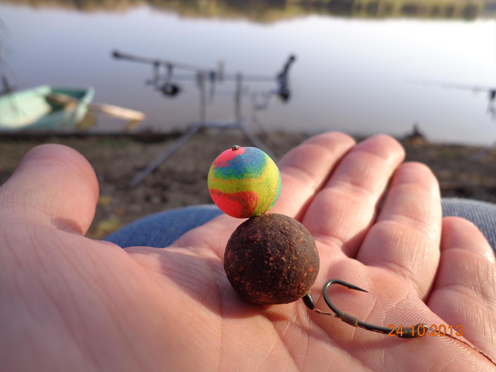 Carp mad - dsc018431.JPG